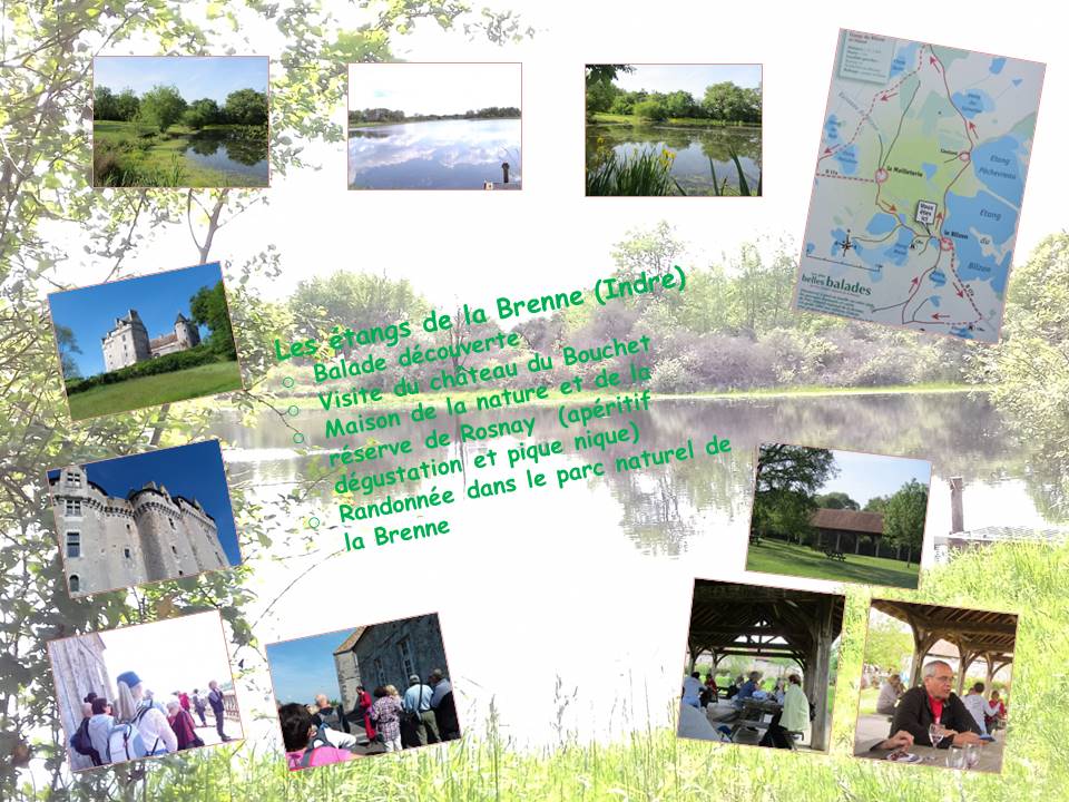 Etangs de la Brenne (36)-  22/05/2019